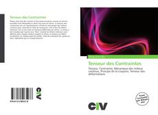 Portada del libro de Tenseur des Contraintes