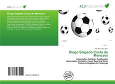 Diego Salgado Costa de Menezes kitap kapağı