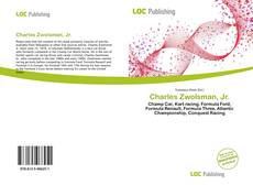 Bookcover of Charles Zwolsman, Jr.