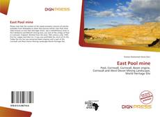 Обложка East Pool mine
