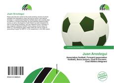 Bookcover of Juan Arostegui