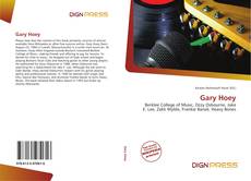 Gary Hoey的封面