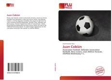 Bookcover of Juan Cobián