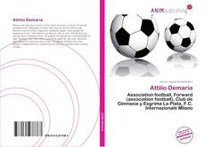 Capa do livro de Attilio Demaría 