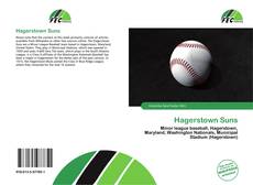 Borítókép a  Hagerstown Suns - hoz