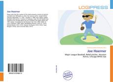 Capa do livro de Joe Hoerner 