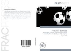 Portada del libro de Fernando Gamboa