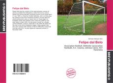 Bookcover of Felipe dal Belo