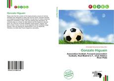 Capa do livro de Gonzalo Higuaín 