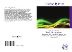 Capa do livro de Joel Fitzgibbon 