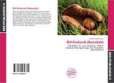 Buchcover von Bill Endicott (Baseball)