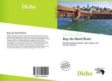 Bookcover of Bay du Nord River