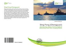 Buchcover von Ding Feng (Chengyuan)