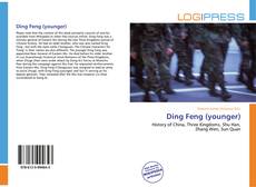 Buchcover von Ding Feng (younger)