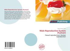 Buchcover von Male Reproductive System (human)