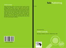 Bookcover of Child Custody