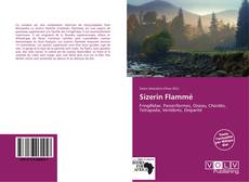 Capa do livro de Sizerin Flammé 