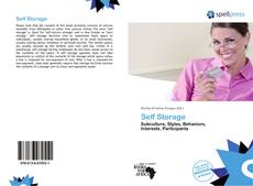 Bookcover of Self Storage