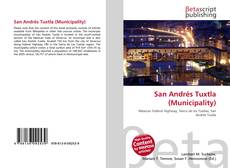 Bookcover of San Andrés Tuxtla (Municipality)
