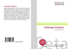 Borítókép a  Ambrogio Calepino - hoz