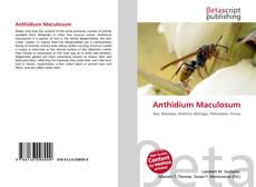 Anthidium Maculosum的封面