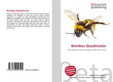 Borítókép a  Bombus Quadricolor - hoz