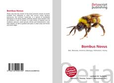 Couverture de Bombus Novus