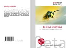 Couverture de Bombus Maxillosus