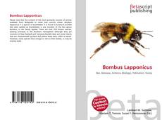 Couverture de Bombus Lapponicus
