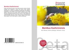 Couverture de Bombus Kashmirensis