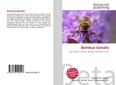 Copertina di Bombus Genalis