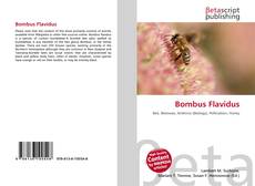Copertina di Bombus Flavidus