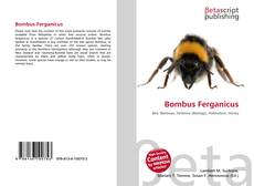 Buchcover von Bombus Ferganicus