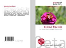 Buchcover von Bombus Breviceps