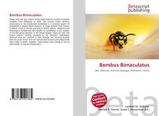 Buchcover von Bombus Bimaculatus