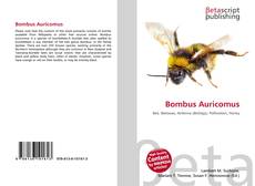 Couverture de Bombus Auricomus