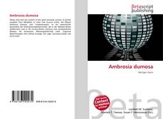 Bookcover of Ambrosia dumosa