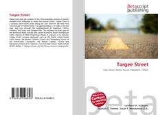 Capa do livro de Targee Street 