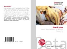 Capa do livro de Berniceras 