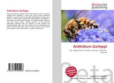 Capa do livro de Anthidium Garleppi 