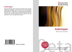 Bookcover of Ambrotypie