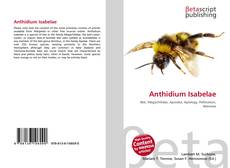 Bookcover of Anthidium Isabelae