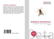 Bookcover of Anthidium Helianthinum