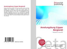 Bookcover of Amelungsburg (Lipper Bergland)