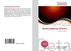 Bookcover of Amelungsburg (Süntel)