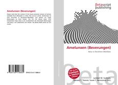 Buchcover von Amelunxen (Beverungen)