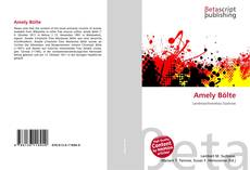 Buchcover von Amely Bölte