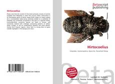 Bookcover of Hirtocoelius