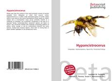 Bookcover of Hypancistrocerus