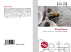Buchcover von Irianmenes